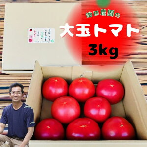 yӂ邳Ɣ[Łzss\tߘa8NY g}g ̂蔭I ˌÐ rc_ ƋCňʃg}g 3kg Ƃ܂  T_ W[X  3LmA0038xn12000~