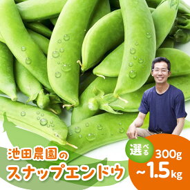 【ふるさと納税】令和9年産 先行予約＼シャキシャキ プリプリ／ 採れたて スナップエンドウ 300g〜1.5kg 飛騨産 国産 スナップえんどう 旬 旬もの サラダ 産地直送 野菜【2027年6月上旬〜6月下旬発送】飛騨市 池田農園