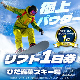 【ふるさと納税】ひだ流葉スキー場 一日リフト券 スキー スノーボード 2025-2026シーズン アクティビティ 旅行 観光 チケット リフト券 岐阜県飛騨市 [Q3077]16000円