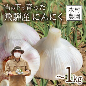 【ふるさと納税】《先行予約》選べる内容量 飛騨産 にんにく 300g 500g 1kg ニンニク【7月中旬〜12月発送】水村農園 [Q3219] 5000円 8000円 10000円