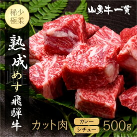 【ふるさと納税】飛騨牛 『山勇牛』すね肉等 カレーシチュー用 500g 角切り牛肉 30日以上熟成/A4・A5ランク飛騨牛 熟成肉 牛肉 和牛 肉 カレー用 シチュー用 角切り 煮込み用 飛騨市