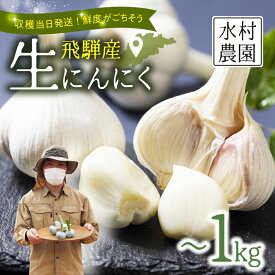 【ふるさと納税】《先行予約》限定 選べる内容量 飛騨産 生にんにく 300g 500g 1kg 生ニンニク にんにく【6月中旬〜下旬発送】水村農園 [Q3219] 5000円 10000円 15000円