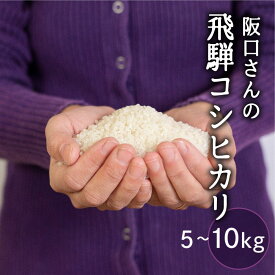 【ふるさと納税】特別栽培米 令和7年産 コシヒカリ 飛騨産 選べる内容量 5kg 10kg 単品 米 新米 阪口農園 特A こしひかり 阪口農園 米 白米 こめ コメ ごはん 飛騨市 ［Q1839_25]