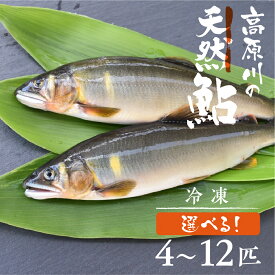 【ふるさと納税】先行予約【令和7年7月末〜9月上旬発送】高原川の天然鮎 4〜12匹 たかはら鮎 鮎 あゆ アユ 川魚 魚 サカナ 天然 冷凍 アウトドア バーベキュー BBQ 魚 《hida0307》