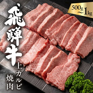yӂ邳Ɣ[Łzˋ 5 Jrē 500g / 1kg oi Ԑg / ~ ) ē   Ă a Jr BBQ o[xL[ uߕ Mtg 蕨 ˊ򕌐l 򕌌 ˎs 25000~ `