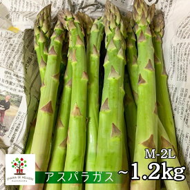 【ふるさと納税】《先行予約》令和8年産 選べる内容量 アスパラ450g~1.2kg！ CHACRA DE MELLIZASのアスパラガス 野菜 期間限定 サイズ不揃い 訳あり ワケアリ 訳アリ あすぱら アスパラガス グリーン アスパラ 飛騨市［Q1821x Q2361］10000円 1万円 15000円