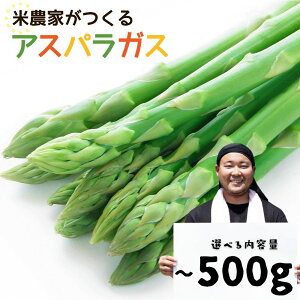 yӂ邳Ɣ[Łzʌss\tߘa8NY 6{甭  _ƂÎAXpKX M~L L~2L Iׂe 200g 500g  ₳ VN AXp s 󂠂  _ r