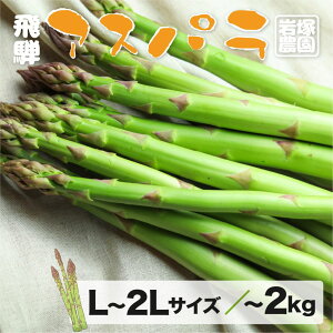 yӂ邳Ɣ[Łz2026NY s\ ˎY AXpKXi2026N5{`8j L ` 2L TCY 800g / 2kg ˔_ AXp  t   BBQ  ₳ 10000~ [Q566_26] 24000~ [Q568x_