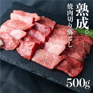 yӂ邳Ɣ[Łzē ؂藎Ƃ 500g ˂̖qňnˋwREx A4 A5 ؗ 󂠂 A 킯 PA s ~bNX   a Y 󏭕ʓ ˋ 