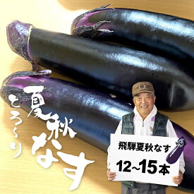 【ふるさと納税】先行予約【7月上旬〜10月中旬に発送】令和8年産 飛騨 夏秋なす 約3.5kg 茄子 ナス 大なす 産地直送 夏野菜 野菜 [Q792]8000円 8千円 10000円 1万円