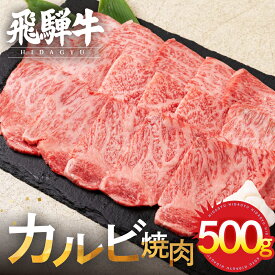【ふるさと納税】飛騨牛 カルビ 焼肉用 500g 牛肉 和牛 肉 国産 熨斗掛け バーベキュー 焼き肉 カルビ A4 A5 化粧箱 ギフト 熨斗 人気 時間指定 冷凍便 冷凍発送[Q3002] お中元 ギフト 御中元 お歳暮