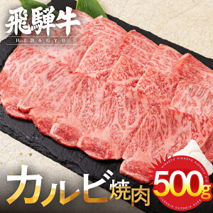 yӂ邳Ɣ[Łzˋ Jr ēp 500g  a  Y l| o[xL[ Ă Jr A4 A5 ϔ Mtg l lC Ԏw Ⓚ Ⓚ[Q3002]  Mtg 䒆 