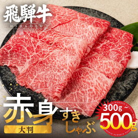 【ふるさと納税】《選べるお届け月》訳あり 飛騨牛 赤身スライス すきしゃぶ用 すき焼き しゃぶしゃぶ用 500g すきやき 牛肉 和牛 黒毛和牛 肉 国産 ギフト 贈り物 すきやき スキヤキ 赤身 飛騨市 冷凍発送 わけあり [Q3003] 20000円 2万円