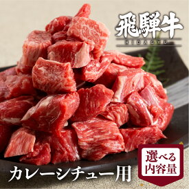 【ふるさと納税】飛騨牛 カレーシチュー用 500g 800g スネ肉等 牛肉 和牛 肉 国産 カレー 煮込み ビーフシチュー ［Q3005］