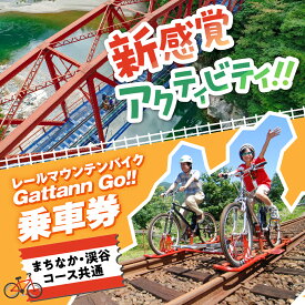 【ふるさと納税】【まちなか・渓谷コース共通】レールマウンテンバイクGattann Go!! 特別ご乗車券 飛騨神岡 体験 子供 キッズ チケット ガッタンゴー アクティビティ 屋外[B0264pi]17000円