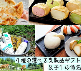 楽天市場 明治 モッツァレラチーズの通販 楽天市場 明治 モッツァレラチーズの通販