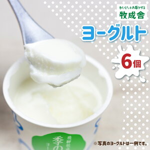 yӂ邳Ɣ[ŁzsIׂ邨͂񐔁t   qɃJbv[Og 6 󂠂 q ܂ y  v[ sgp 킯 [Q1453] 5000~ 10000~ 20000~ 30000~ 5