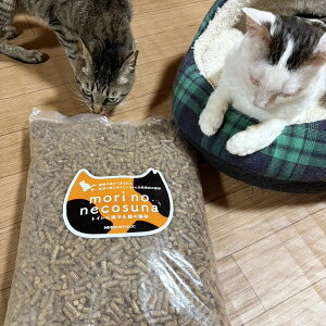 �y�ӂ邳�Ɣ[�Łz �X�̔L�� / morino necosuna �l�R���p�u���b�N 5kg�L �l�R �ی�L �؎� �y���b�g �L�� �� ���� �g�C�� �V�R �L�D�� �ɂ�� ���킢�� ���� ( SAVE THE CAT HIDA�x�� ) [Q3076] 10000�~ ��