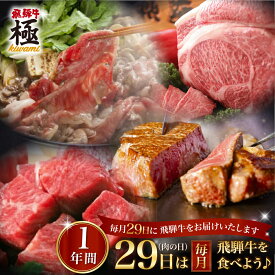 【ふるさと納税】肉 定期便 12回 12か月 飛騨牛“極” 毎月29日（肉の日）飛騨牛を食べよう！牛肉 定期便 1年バージョン 肉 和牛 飛騨牛[O0002]500000円 50万円