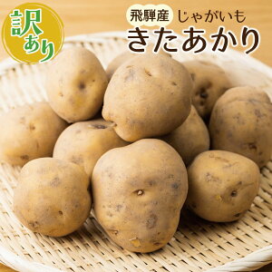 【ふるさと納税】《先行予約》令和8年産【訳あり】きたあかり 4kg 馬鈴薯 じゃがいも サイズばらばら 飛騨産 国産 キタアカリ ジャガイモ 野菜 化学肥料不使用栽培 飛騨産【令和8年7月上旬