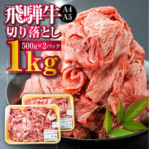 yӂ邳Ɣ[Łzy󂠂zˋ ؂藎Ƃ 500g×2 v1kg A4 A5 ʂ܂ a4 a5   јa Y  l A 킯 PA s ؂ Ă  J[ 