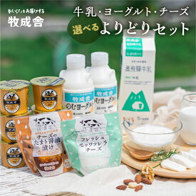【ふるさと納税】【2週間以内に発送】乳製品セット モッツァレラチーズ ヨーグルト 牛乳 プリン アイスクリーム アイス ピザ マルゲリータ ソーセージ 食べ比べ 訳あり 選べる よりどりセット ヨーグルト 牧成舎 日時指定可 1万円 10000円 8000円 [B0096] 飛騨市