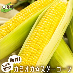 《先行予約・数量限定》まるでフルーツ！特別栽培 トウモロコ...