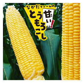 【ふるさと納税】《先行予約》甘い！朝採れトウモロコシ ゴールドラッシュ 4kg 9～11本 8月下旬から9月下旬にお届け とうもろこし スイートコーン 飛騨産 サイズ不揃い 不揃い 訳あり 訳アリ わけあり ワケアリ お取り寄せ 産地直送 夏 秋 野菜 季節[B0224]10000円 1万円