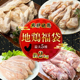 【ふるさと納税】【年内発送】選べる福袋 飛騨地鶏三昧 鶏肉 小分け 約1kg 2kg 地鶏 モモ肉 ムネ肉 手羽先 手羽元 ささみ 串焼き 焼き鳥 鶏肉 ブランド 飛騨市 [B0256rex] 20000円