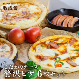 【ふるさと納税】《1週間程度で発送》ピザ食べ比べセット 飛騨のチーズたっぷり ピザ贅沢セット【6枚】 ピザ 冷凍 パーティー 常備 惣菜 訳アリ わけあり ワケアリ 食べ比べ セット 20000円 2万円 [C0002] 飛騨市 日時指定可 牧成舎