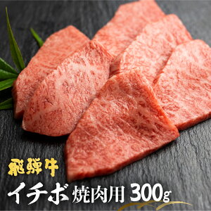 yӂ邳Ɣ[Łzˋ 5 A C`{ēp300g ˎsYi ×X A5 a5  a  l| l| ē 30000~ 3~ [C0045ch]
