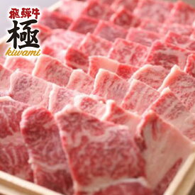 【ふるさと納税】飛騨市推奨特産品飛騨牛 BBQ がっつりバーベキューカルビ 500g 牛肉 和牛 肉 お歳暮[D0020]30000円 3万円