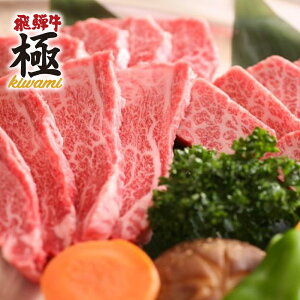 yӂ邳Ɣ[ŁzˎsYiˋ@BBQ@ˋE{Eؓ oGeBZbg y  a  l| [E0014] 40000~ 4 ˎs