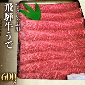 【ふるさと納税】飛騨牛 うで スライス すき焼き しゃぶしゃぶ用　600g すきやき 牛肉 和牛 黒毛和牛 肉 国産 ギフト 贈り物 すきやき スキヤキ 赤身［Q112］20000円 2万円