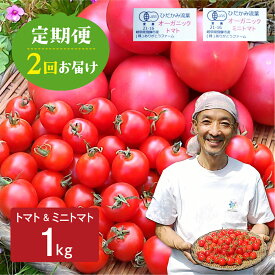 【ふるさと納税】《数量限定》トマト・ミニトマト 1kg 2回定期便 野菜 有機栽培 とまと 産地直送 夏野菜 ［Q1300］ 《hida0307》