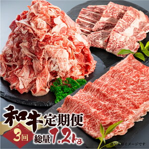yӂ邳Ɣ[Łza  3 d 1.2kg y XCX ₫ Ԃ ē ؂藎Ƃ  ؗ ؂藎Ƃ s ӂ낢 󂠂 PA A z  BBQ 