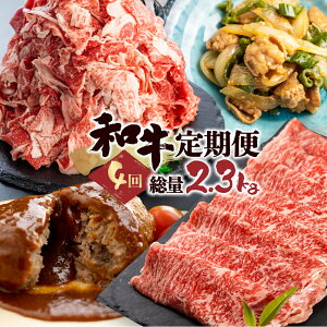 yӂ邳Ɣ[Łzuaցv 4 y  ؗ ؂藎Ƃ z  ē no[O gg Ԃ  Ya d2.3kg 󂠂 킯 PA 4