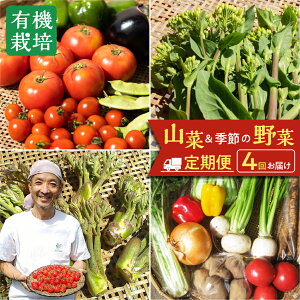 �y�ӂ邳�Ɣ[�Łz4������11���ɂ��͂��I�h�{���R���e�X�g�O�����v���_�Ƃ����͂����� ��˂̎l�G �R�؂Ɩ�ؐs�����Z�b�g ����� �N4�� ���͂� ����� ����؂̃��V�s�t�� ��� ����� ��