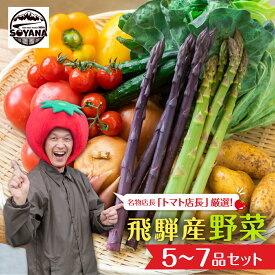 【ふるさと納税】【先行予約】2026年7月からお届け！旬の野菜の定期便 飛騨産直市そやな直送 トマト店長厳選 飛騨産 旬の野菜セット 野菜セット 定期便 2回 3回 おまかせ 詰め合わせ 産地直送 《hida0307》7000円 10000円 1万円 どやな飛騨市