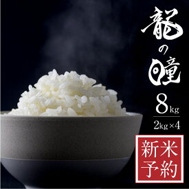 【ふるさと納税】【先行予約】令和5年産 龍の瞳 2kg×4 計8kg 飛騨市産 米 精米 飯 ごはん 高級 ギフト 贈り物 白米 新米 [Q2003] 40000円 4万円