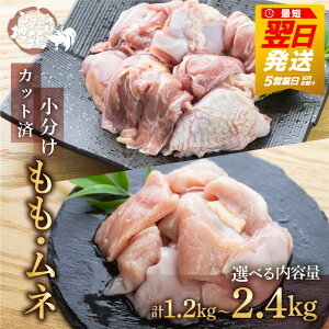 yӂ邳Ɣ[ŁzyŒZI5cƓȓɂ͂z Jbgς  ނ˓ n{ { ˒n{ v1.2kg v2.4kg  600g ^pbN  l g  Y  Ⓚ 