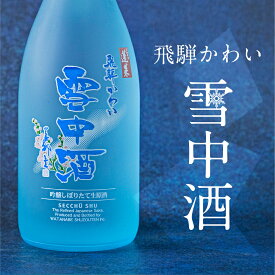 【ふるさと納税】《先行予約》飛騨かわい雪中酒　純米吟醸 生原酒720ml 令和6年産 吟醸酒 飛騨高山 日本酒 酒 さけ sake 期間限定 雪中酒 せっちゅうしゅ [Q2234][Q2235]15000円 27000円