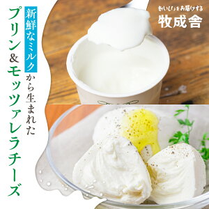 yӂ邳Ɣ[Łzy2TԈȓɔẑ~N̎RȂlߍ񂾔Z~Nv2 20 6  v[ JtFI َq XC[c mَq V Ⓚ