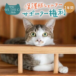 yӂ邳Ɣ[ŁzیLVF^[T|[^[ 1N  SAVE THE CAT HIDA PROJECT ˂ lR L x یLCt ό s ̌[Q2716]30000~ 3~ 50000~ 5~ 100000~ 10~ 150000 15~lRp