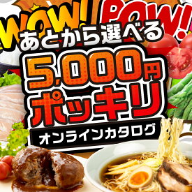 【ふるさと納税】＼5000円ポッキリ~！／ 飛騨市オンラインカタログ 5千円 有効期限なし 後から選べる ポッキリ 訳あり カタログ 米 スイーツ 焼肉 惣菜 ラーメン 特産品 グルメ あとから ポッキリ 無期限 あとから選べる 5000円 ちょうど 5千円 お米