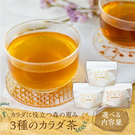 【ふるさと納税】【10営業日以内にお届け】飛騨の森のめぐみ茶 三種のカラダ茶 種類選べる 1袋12パック入り 大容量 お茶 ティーパック 野草茶 ハーブティー ギフト プレゼント 贈り物 自然派 健康志向 [Q2834]