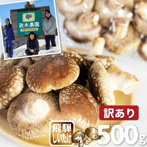 yӂ邳Ɣ[Łzs\y11{`4{z󂠂肵 500g@ؔ_  VC^P ő  s KiO TCYoo ȈՕ  VՂ o[xL[[Q2877]