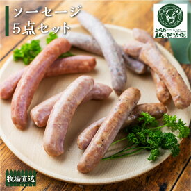 【ふるさと納税】燻製ソーセージ5点セット 肉 スモーク 詰め合わせ おつまみ 山之村牧場 ソーセージ ギフト 贈答 熨斗対応 のし対応 選べる ソーセージ 冷凍 選べる 配送月 12月[Q2040x] 飛騨市