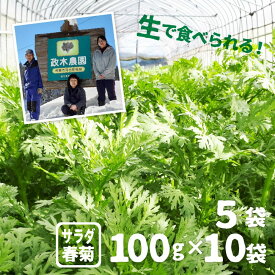 【ふるさと納税】《令和7年産先行予約》【6月上旬〜10月下旬発送】サラダ春菊 100g × 10袋 計1000g 政木農園 無農薬栽培 野菜 産地直送 [Q657rewx]《hida0307》