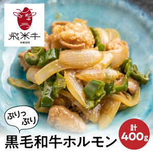 yӂ邳Ɣ[ŁzsȈՕtċ Ђ߂イ tz v400g 200g×2pbN  ē z t  BBQ o[xL[ јa Y Ⓚ  [Q761_u] 8000~ 8~